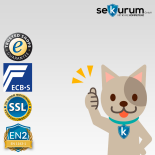 CLES protect AM4 Value protection safe key and electronic lock T6530