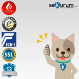 Burg Wächter Pure Safe 130 LAP Möbeltresor mit Elektronikschloss SecuTronic