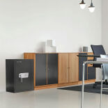 Rottner Monaco 65 Wertschutzschrank mit Schlüsselschloss