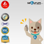 Restposten Müller Safe DIK 145 Datensicherungsschrank mit Schlüsselschloss und Innentresor