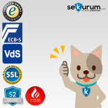 Sistec TSF 1909 Document Safe electronic lock CB90