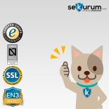 Bordogna ANDROMEDA 100 Wall Safe with electronic lock Premier