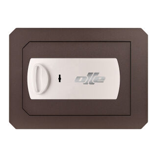 CLES wall 1001-20 Wall Safe