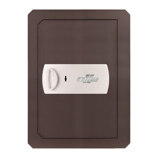 CLES wall 1004-20 Wall Safe