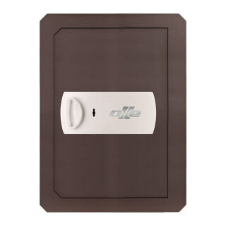 CLES wall 1004-25 Wall Safe with key lock