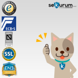 CLES protect AR5 Value Protection Safe with electronic lock PRIMOR