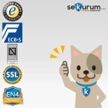 CLES protect AP4 Value Protection Safe with key lock and mechanical combination lock