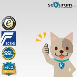 Format STL 0-72-AS Key Safe with key lock