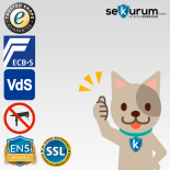 Format Antares Plus 900 Value Protection Safe with key lock and electronic lock CB90