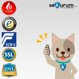 CLES leopard 110 Wertschutztresor mit Elektronikschloss PS600