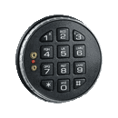 Electronic Lock LG 39E